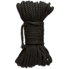 e8b25264a4216856b55acc50f33490f8