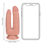 1f1cc086967ba46c90cb855c2010fc01