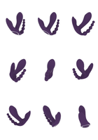 4ce24ff6c260f2a39702650c0d36ba96