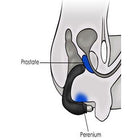 Rude Boy prostata vibrator - funtoys.dk